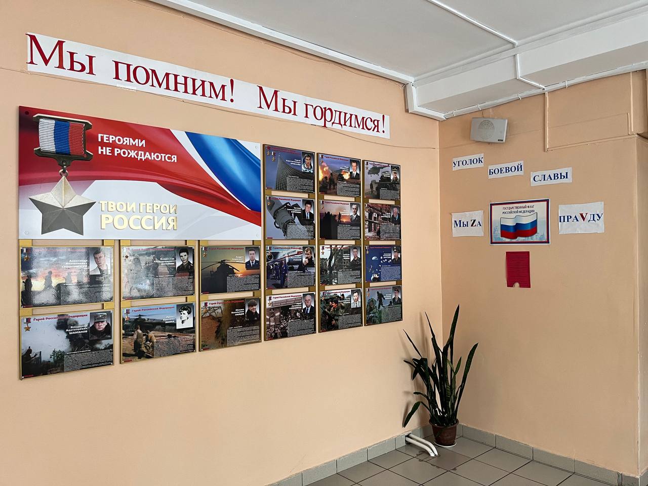 Изображения.